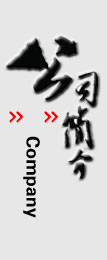 公司簡介